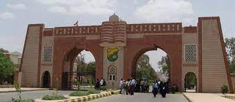 WJWC condemns attack on faculty members and their assistants at University of Sana’a