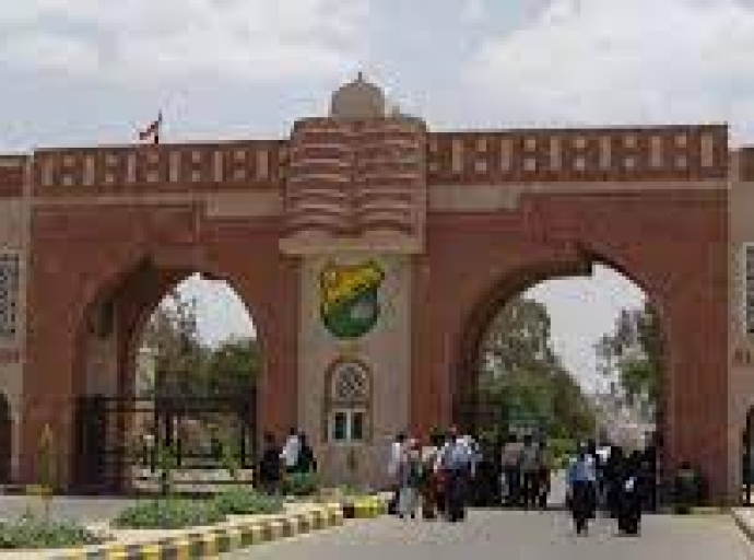 WJWC condemns attack on faculty members and their assistants at University of Sana’a