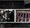 Egypt: 415 Citizens Referenced to Terrorism Courts